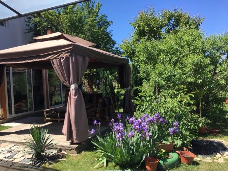 Apartmán Къща Ивона Sapareva Banja Exteriér fotografie